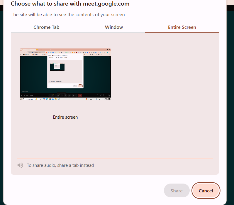 Select “Your entire screen.”