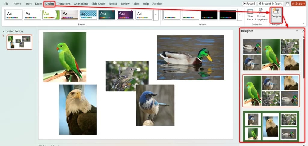 Create an Image Collage in PowerPoint Using Designer tool