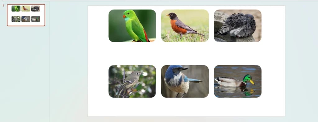 Final look of image collage in PowerPoint