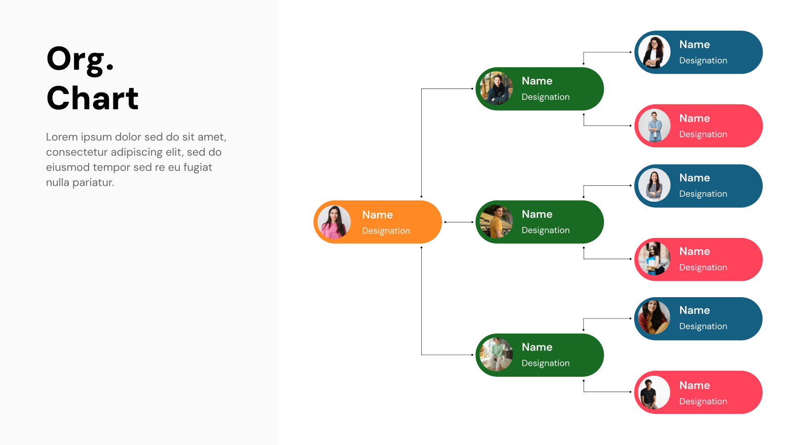 Organizational Chart Templates for Google Slides and PowerPoint template