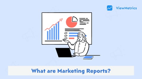 What are Marketing Reports